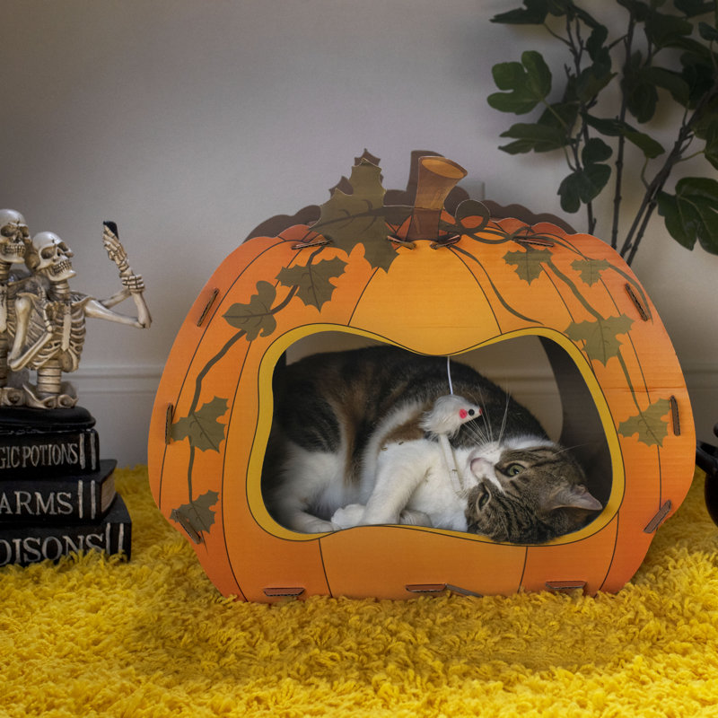 Bobbie-Joe 18'' H Cat Tree