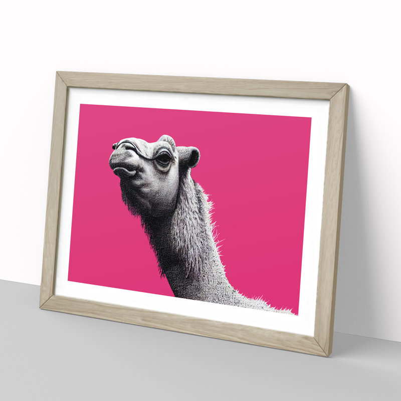 Legendary Camel - Single Picture Frame Print, 25cm H x 34cm W x 2cm D, Oak Framed