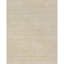 Area Rug in Beige
