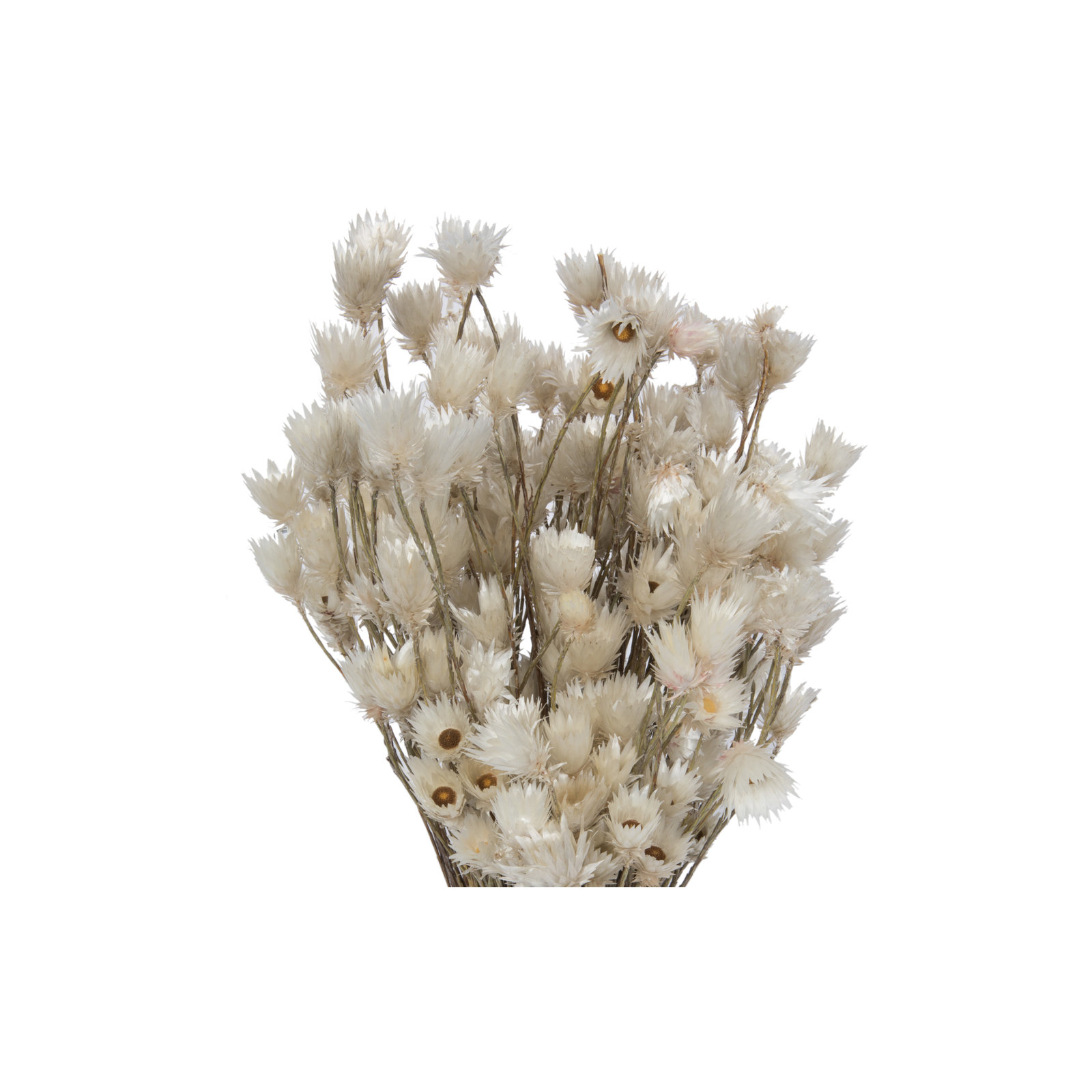 Vickerman Natural Centerpiece