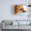 Art mural sur toile tendue - "Red Fox" d'Alain Turgeon pour décoration de salon, de chambre à coucher ou de bureau - 14 x 19-22374576