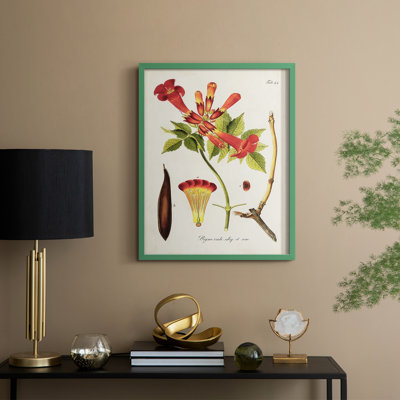«Tropical Trumpet Flowers I», reproduction encadrée - bois massif