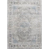 Robledo Oriental Silver Area Rug