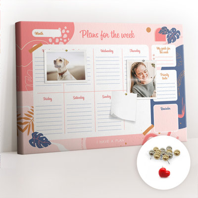 Machla Magnetic Cork Corkboard / Bulletin Board Bulletin Board