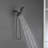 Dual Shower Head 2.5 GPM GPM