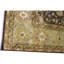 Wool Oriental Area Rug in Gold