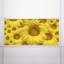 Couvre-lampes fluorescents pour salle de classe Flower - pour luminaire 2 x 4 - par Octo Lights