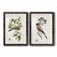 Oiseau antique, botanique et œuf III - ensemble de 2 reproductions d'art sur papier encadré-481924819-481924911