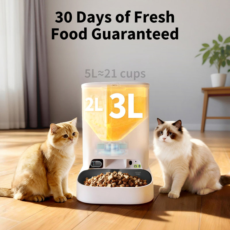 YumShare Dual-hopper 2 Automatic Feeder with Camera