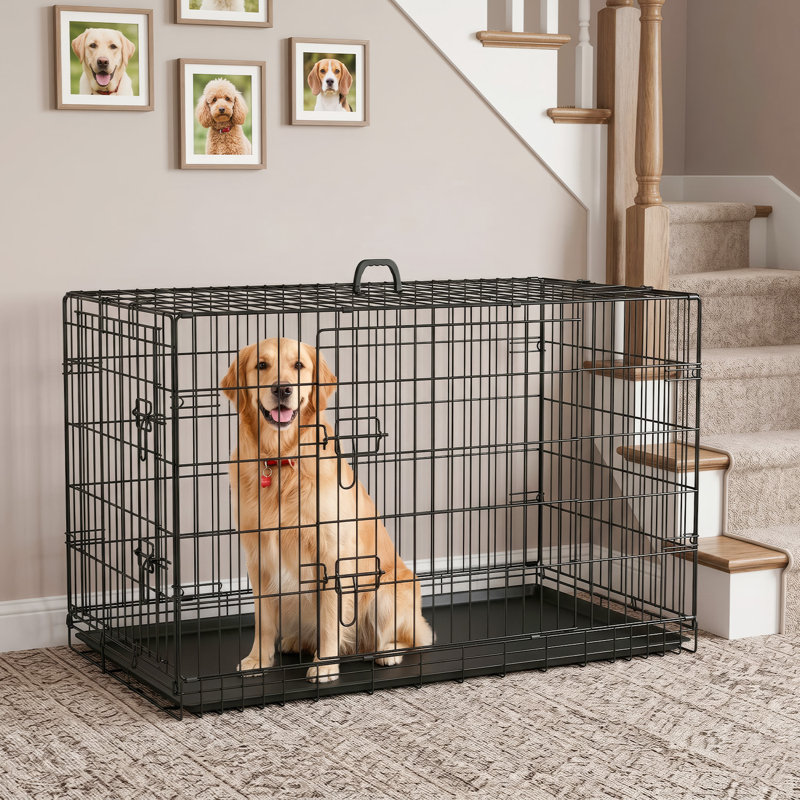 Cage pour chien Cage pliante en métal pour chien de 42 po avec chenil pour chien avec cage à double porte et plateau amovible