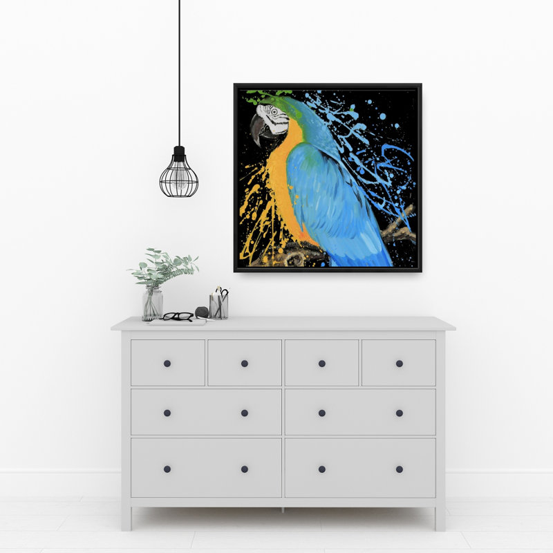 "Perroquet Ara bleu"