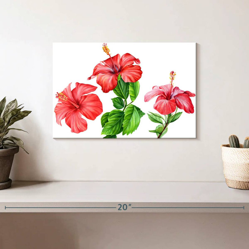 Harnek, fleurs d'hibiscus, aquarelle, H 8 po x l 12 po