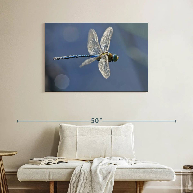 Brampt Flying Emperor Dragonfly, 26" H x 39" W