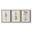 Mauve Garden Flowers I Premium encadré mat - prêt à être accroché-1639297066-1639297070