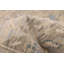 Tapis moderne gris Oushak 7 pi 11 po x 10 pi 3 po