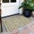 Aleighna Area Rug with Non-Slip Backing-1725096044