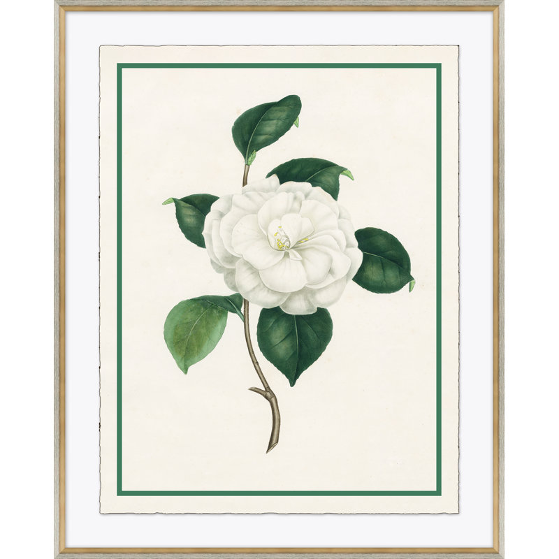 Flora III Giclee Print