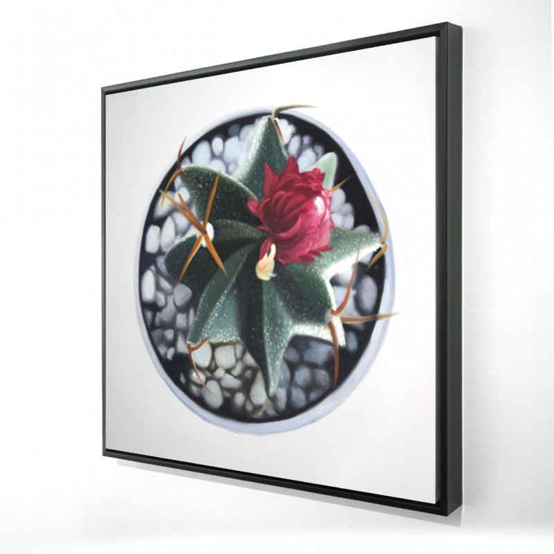 Cactus en pot - Toile encadrée botanique blanche pour la décoration intérieure, H 25,25 po x l 25,25 po