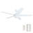 Ashby 52" Ceiling Fan with LED Light-2000651164