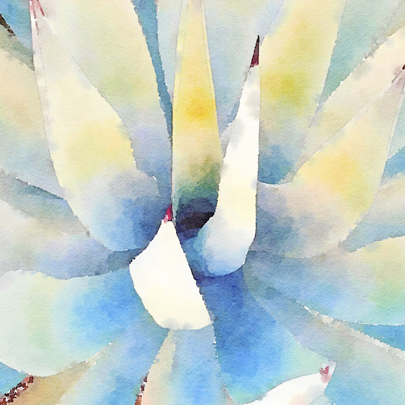 Succulente IX by Vicki Gladle Bolick - Wrapped Canvas Painting, 76cm H x 76cm W