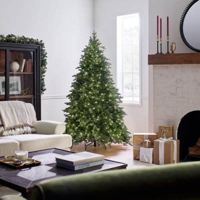 Sapin Fraser avec PowerConnect et lumières DEL bicolores Princeton Fraser Fir