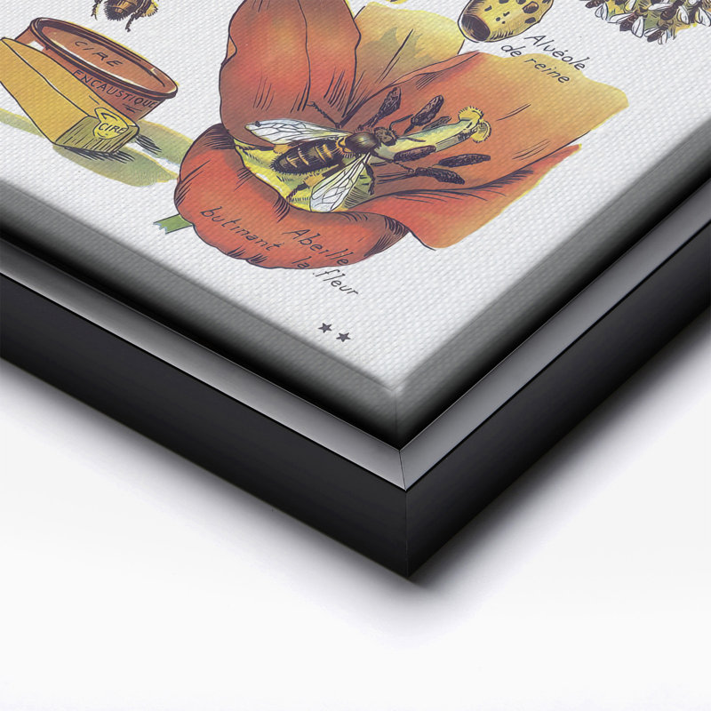 La Vie De L'Abeille, Black Framed, Canvas, 24"H x 32"W