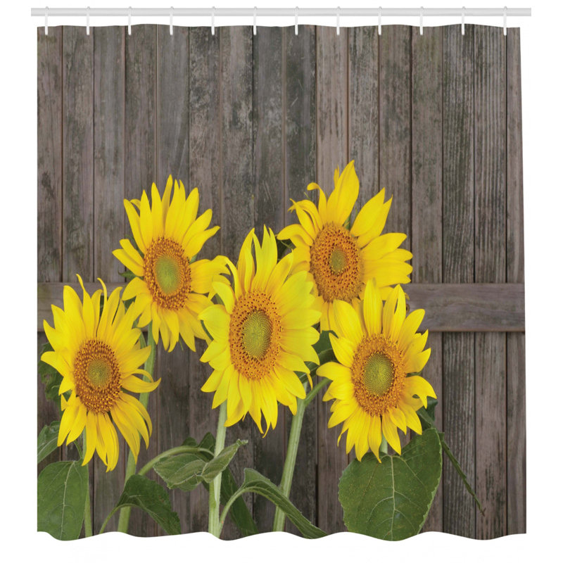 Shower Curtain with Hooks Included, 70" H x 69" W