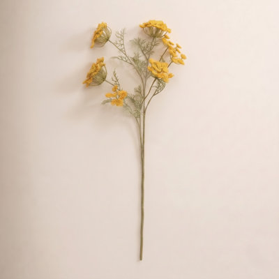 Lace Flower Stems