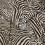 Equus 9.84' L x 70.8" W Wallpaper Roll