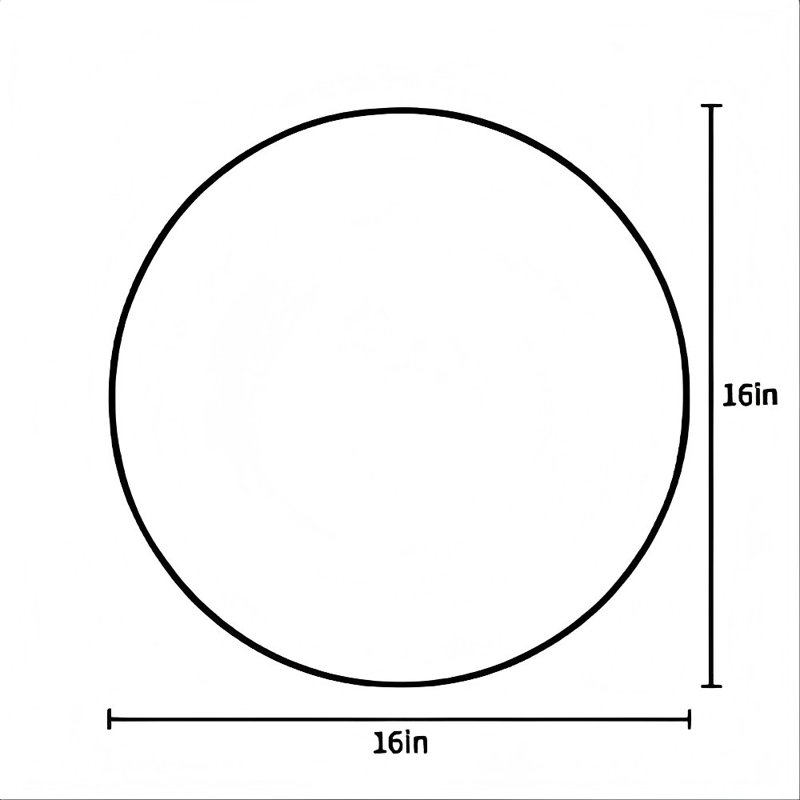 19D296A810CE472A8B3D29E594A09806, 16" x 16"