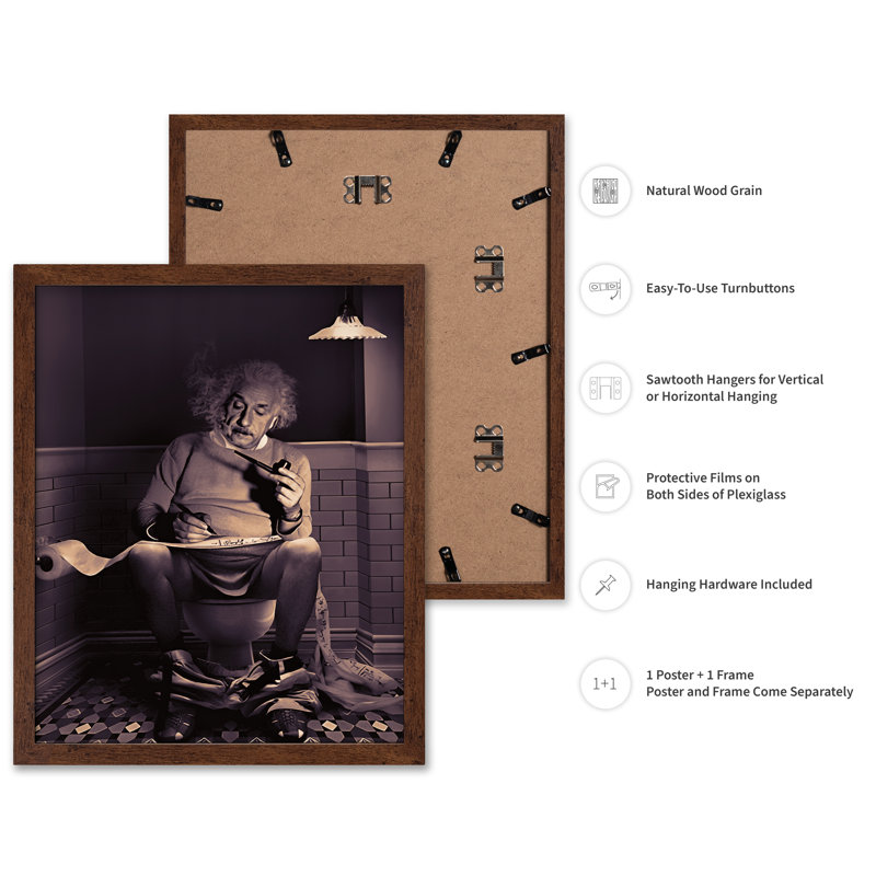 Einstein assis sur une toilette, Affiche, H 08 po x l 10 po, Encadrement brun