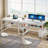 Rigueiro Metal Base Computer Desk-432816233