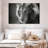 Brampt Monochromatic Wild Lion-107678022
