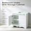 Bathroom Vanity with Basin