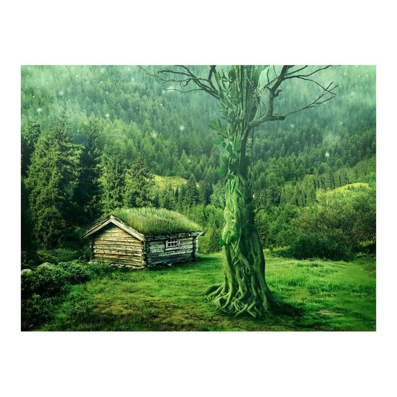 Daktari Wall Mural, 121" L x 157" W
