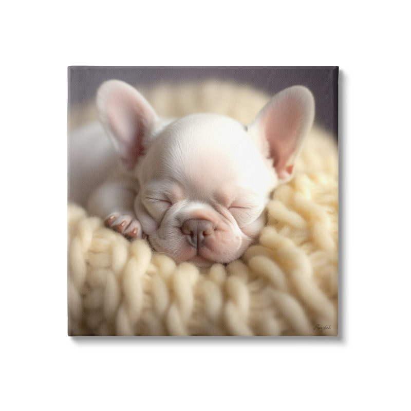 " Tiny Puppy Sleeping " by Roozbeh, 17" H x 17" W x 1.5" D