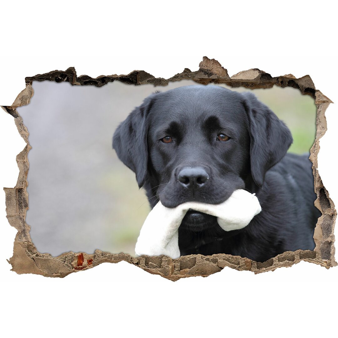 Wandaufkleber Black Labrador with Towel