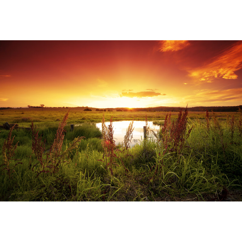 Warm Glowing Field by Quirex - Wrapped Canvas Print, 81cm H x 122cm W x 3.8cm D