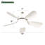 Ventilateurs de plafond à douille 16 pouces avec lumière DEL à intensité variable 2 en 1 petit ventilateur de plafond à vis-2023457628-2023457631