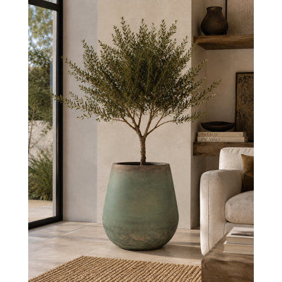 Clay Planter