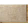 Vanshi Indoor Rug