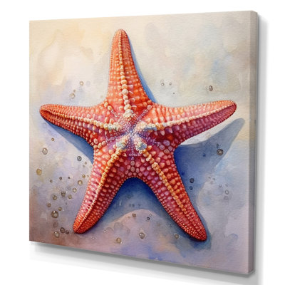 Spinny Starfish III - Coastal Canvas Art