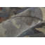 Dafney Floral Area Rug-900977374