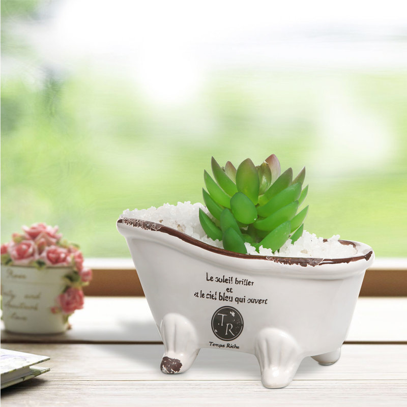 Soap Dish