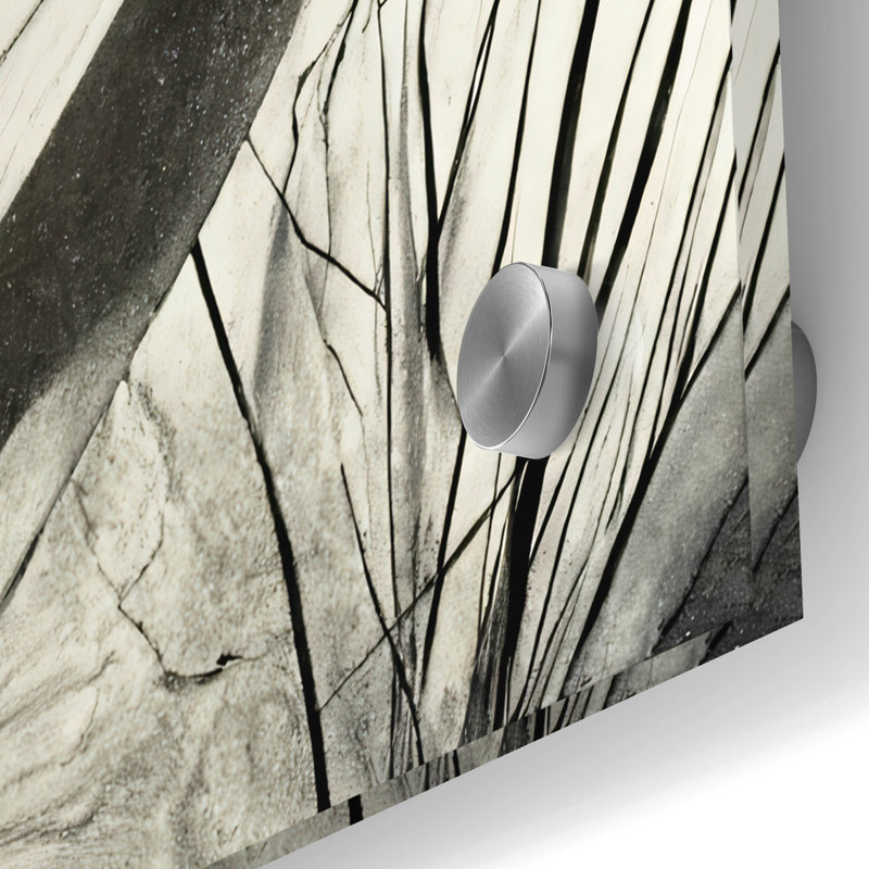 «Flowers Black White 2» par Ray Heere, H 36 po x l 36 po x P 0,2 po