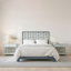 Ivy Bed-1576617986-1576618042