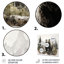 «Bear Wild Majesty II», reproduction d'art sur toile-632009621-632009610-670470468
