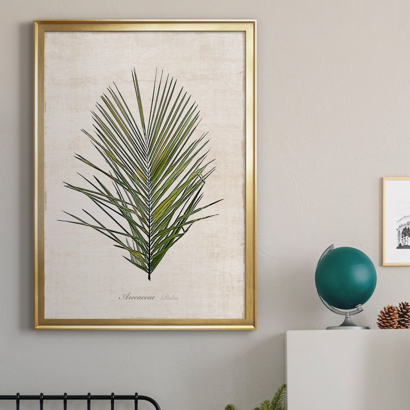 Palmier botanique I - impression, H 30,5 po x l 42,5 po x P 1,5 po, Or