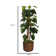 Panama 58" Artificial Scindapsus Aureus Tree in Planter