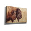 «Bison pair» par Nathan Larson, art mural sur toile-891639136